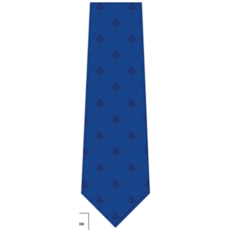Michelsons Of London Satin Silk Cummerbund - Royal Blue Michelsons of London ES